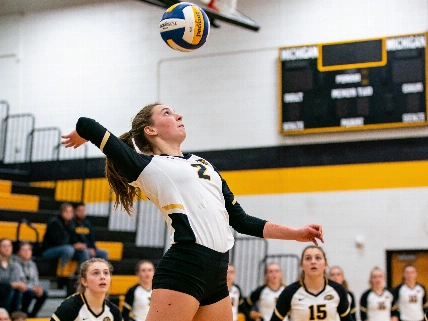 Ten Michigan High School Seniors Named Miss Volleyball Finalists Farmington Voice